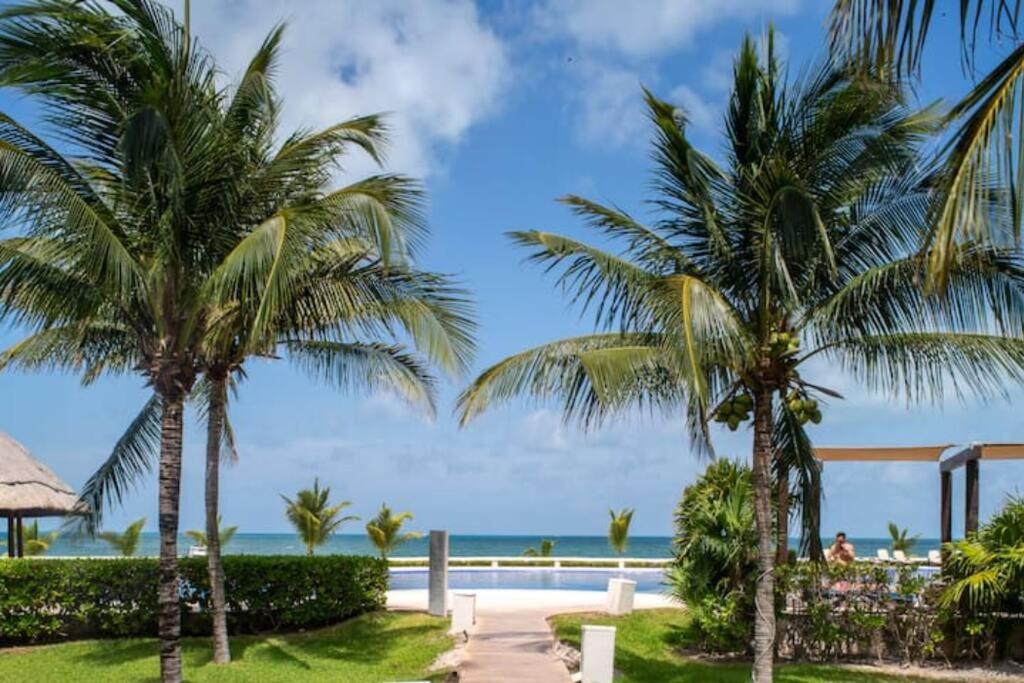 Apartment *sun Scape Beachfront By Casa Paraiso* *